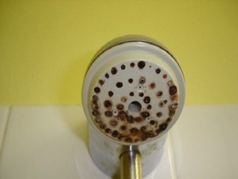 Showerhead Maintenance